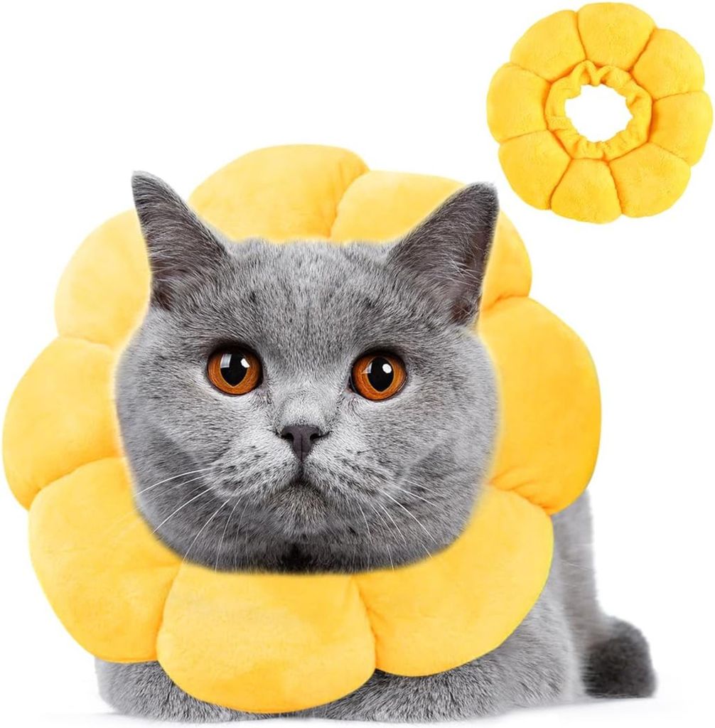 Premium Halskrause Katze Gr??en S, Leckschutz Katze, Weich Halskragen fš¹r Katzen Kleiner Hunde Nach Operation, Elisabethanischer Kragen, Sonnenb...