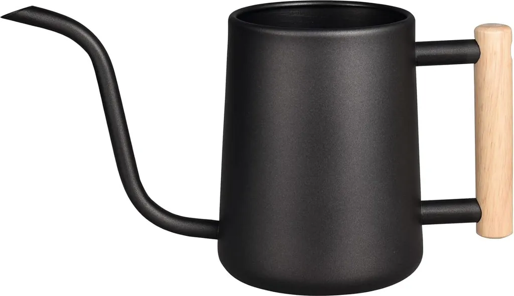 Arrosoir en inox 1L long bec haute précision avec poignée ergonomique bois