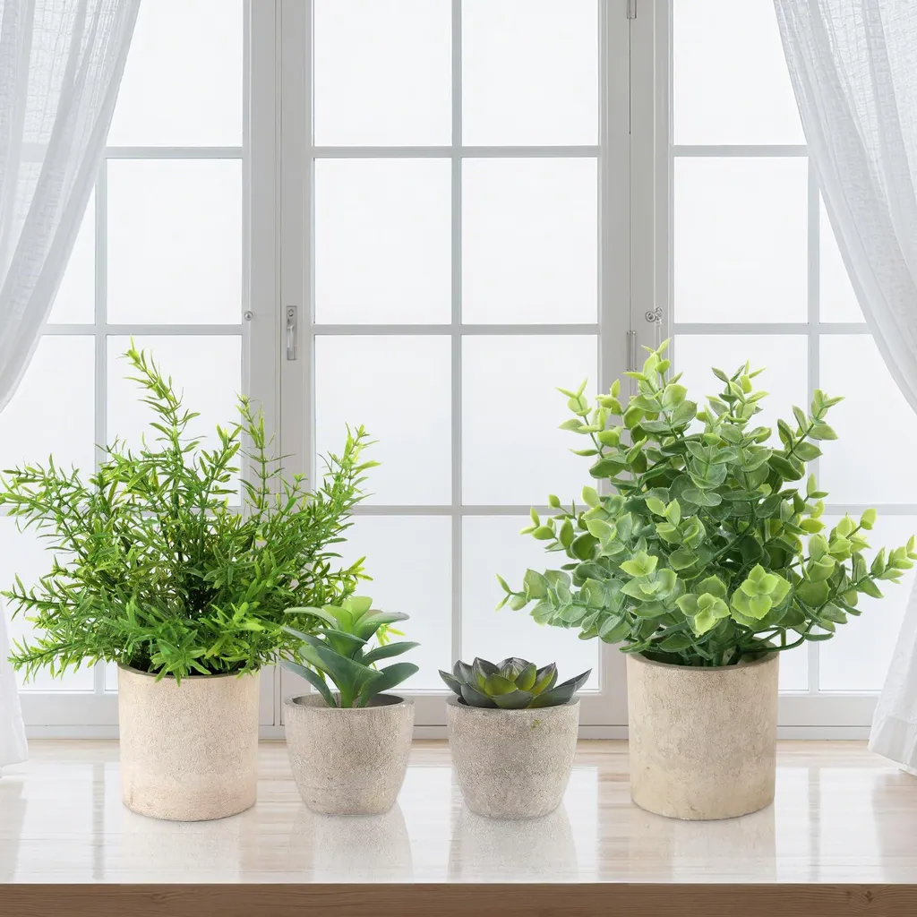 Plantes déco pour cuisine et salle de bains : lot de 4 mini plantes