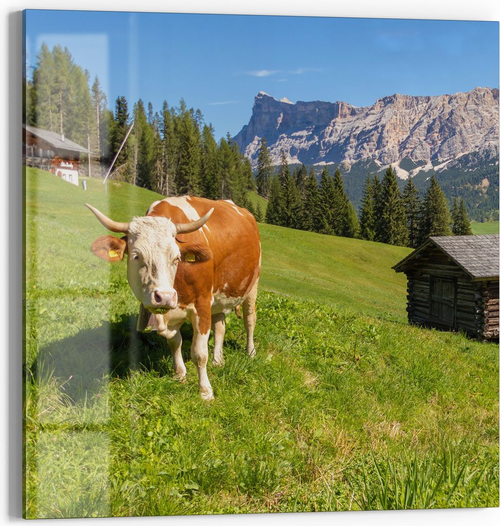 DEQORI Magnettafel Glas 30x30 cm 'Alpine Ruhepause' beschreibbar Whiteboard Pinnwand Küche