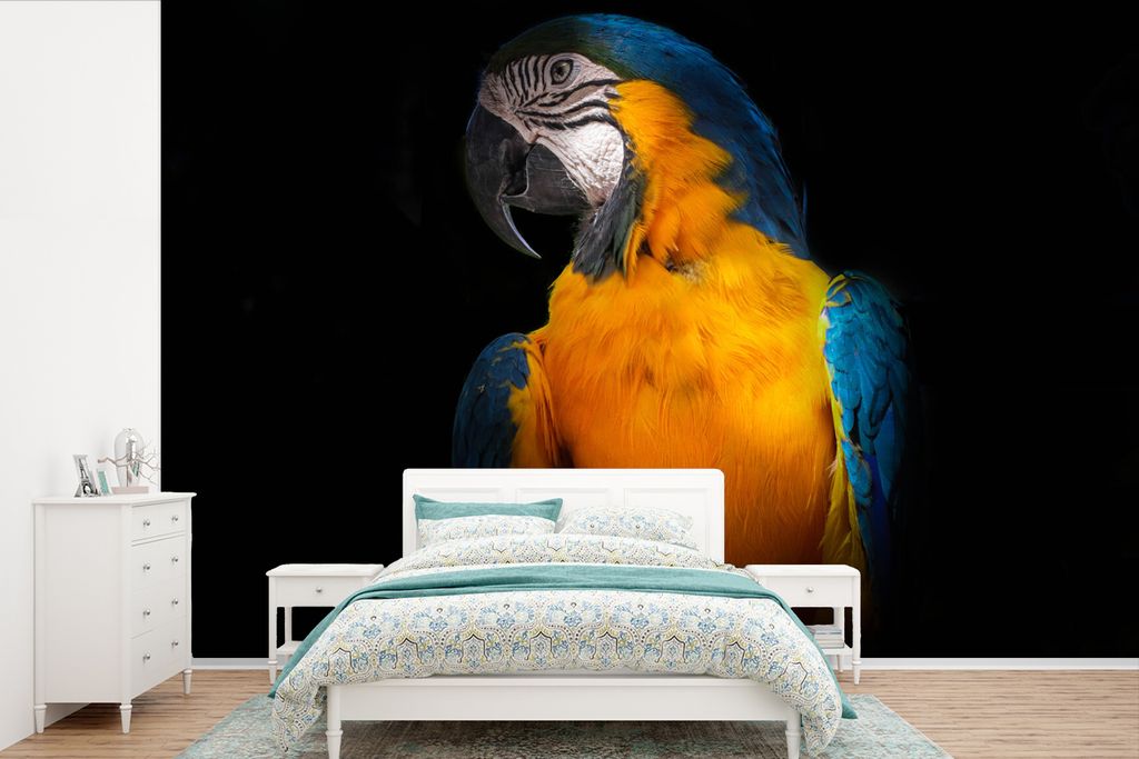 MuchoWow Fototapete für Wohnzimmer oder Schlafzimmer Wandtapete Vinyl Motivtapete Tiere - Papagei - Vogel - 525x350 cm - Das Hintergrundbild