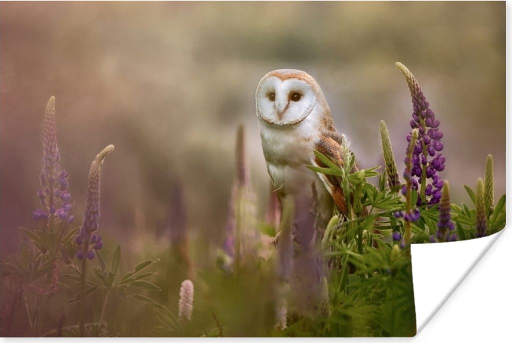 MuchoWow Poster Eule - Blumen - Vogel 90x60 cm - Schlafzimmer
