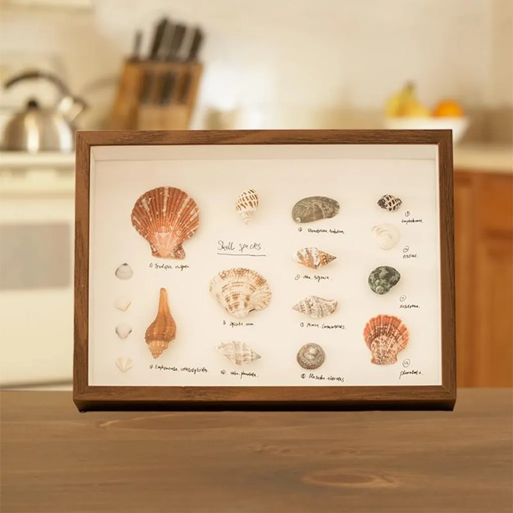 INF Cornice per display fai-da-te: cornice 3D in acrilico per fiori secchi Cachi 8 pollici - 3