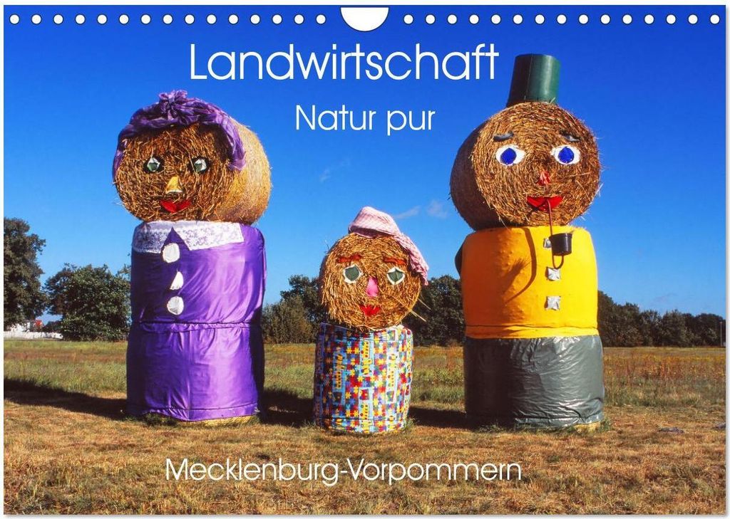 Landwirtschaft Natur pur Mecklenburg-Vorpommern (Wandkalender 2026 DIN A4 quer), CALVENDO Monatskalender