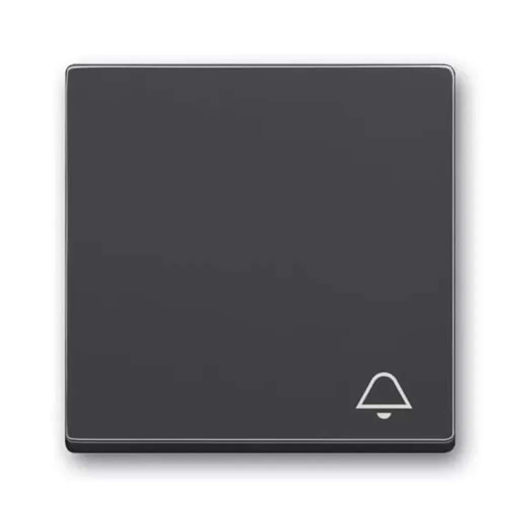 Bascule 2520 KI-81 Anthracite : Commande Électrique Idéale pour Maison