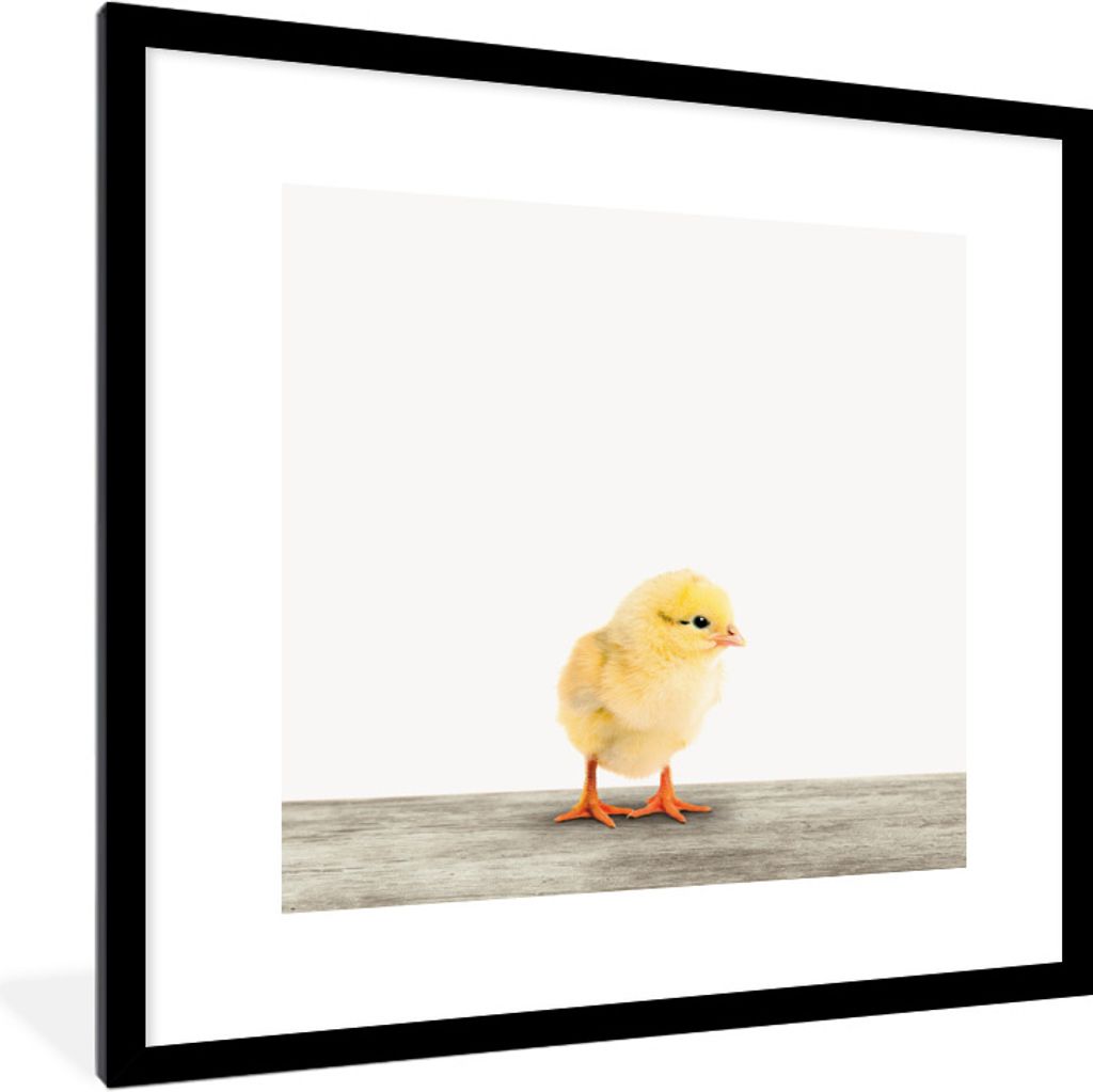 MuchoWow Gerahmtes Poster Küken - Tiere - Jungen - Mädchen - Kinder 40x40 cm - Poster mit Schwarzem Bilderrahmen Wandposter Rahmen Foto Bilder ...