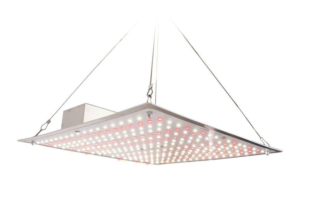 Romberg Grower LED-Pflanzenbeleuchtung (70W, 30x30cm, für Grow Tents, hohe PPFD)