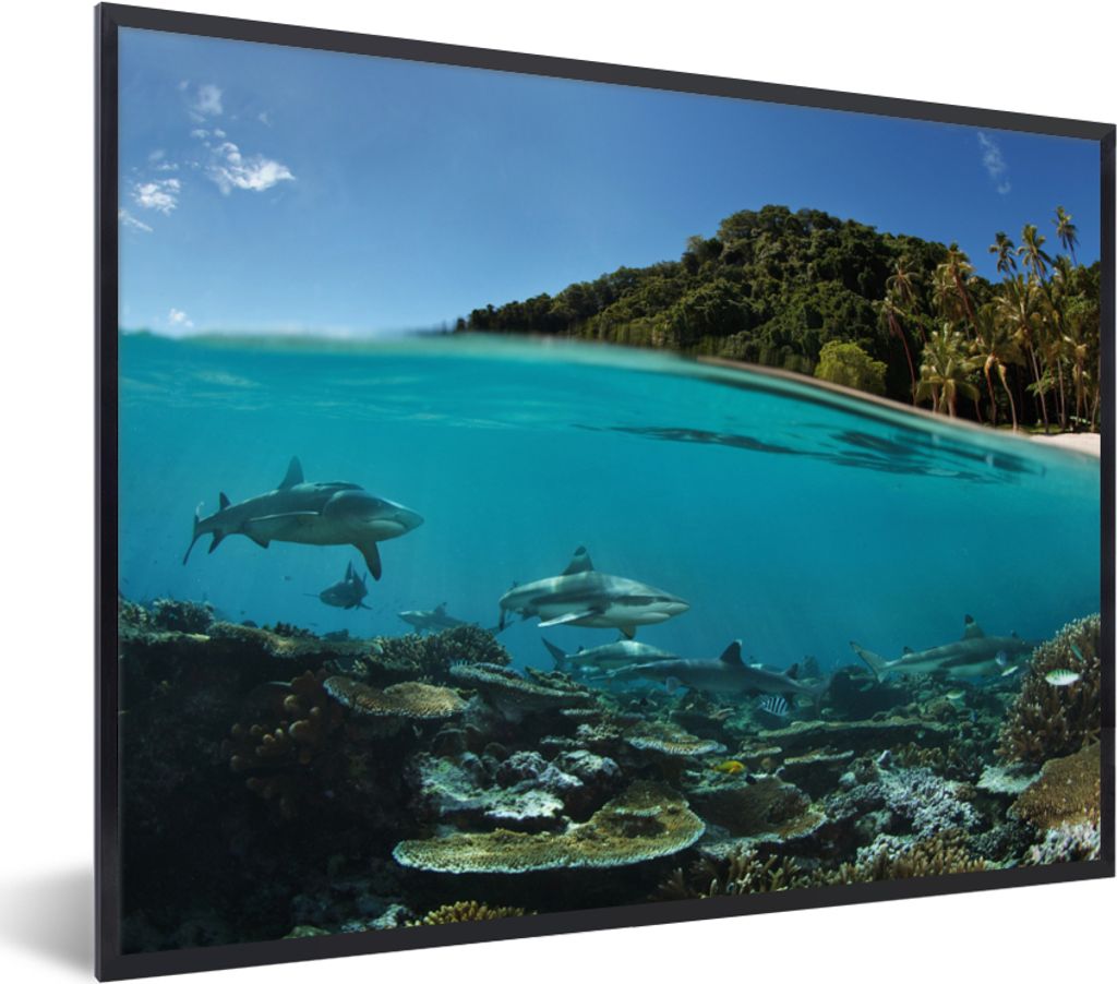 MuchoWow MuchoWow Gerahmtes Poster Korallen - Haie - Meer 80x60 cm - Poster mit zchwarzem Bilderrahmen - Schwarzem - Mit Gestell