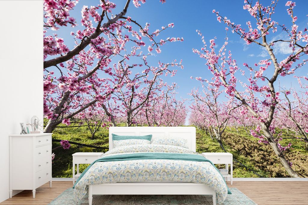 MuchoWow Fototapete für Wohnzimmer oder Schlafzimmer Wandtapete Vinyl Motivtapete Obstbäume - Kirsche - Blüte - 420x280 cm - Zimmer für Kinder