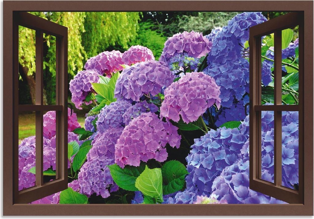 ARTland Wandbild Alu für Innen & Outdoor Fensterblick - Hortensien im Garten Größe: 130x90 cm