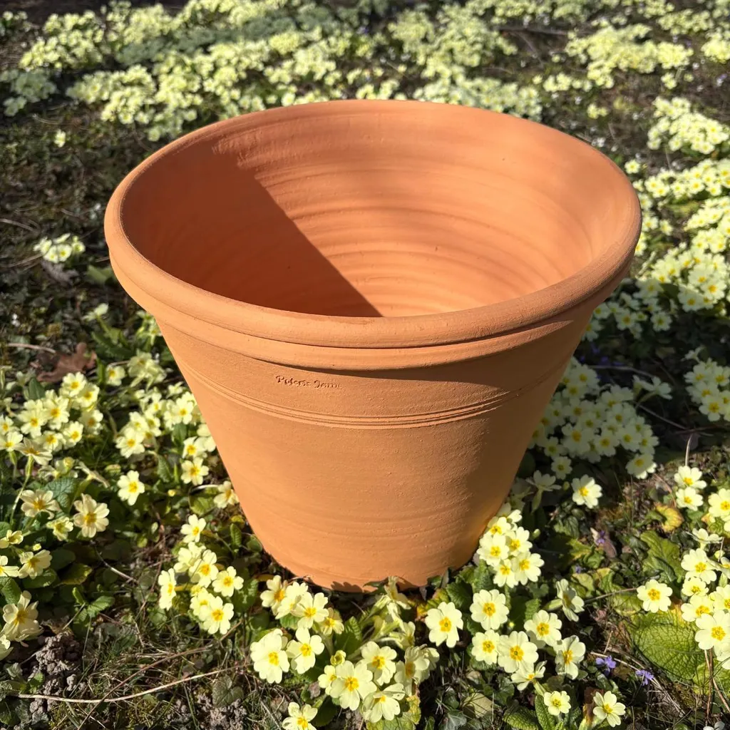 Pot d'ornementation Agrume pour terrasse et balcon - Design Provençal