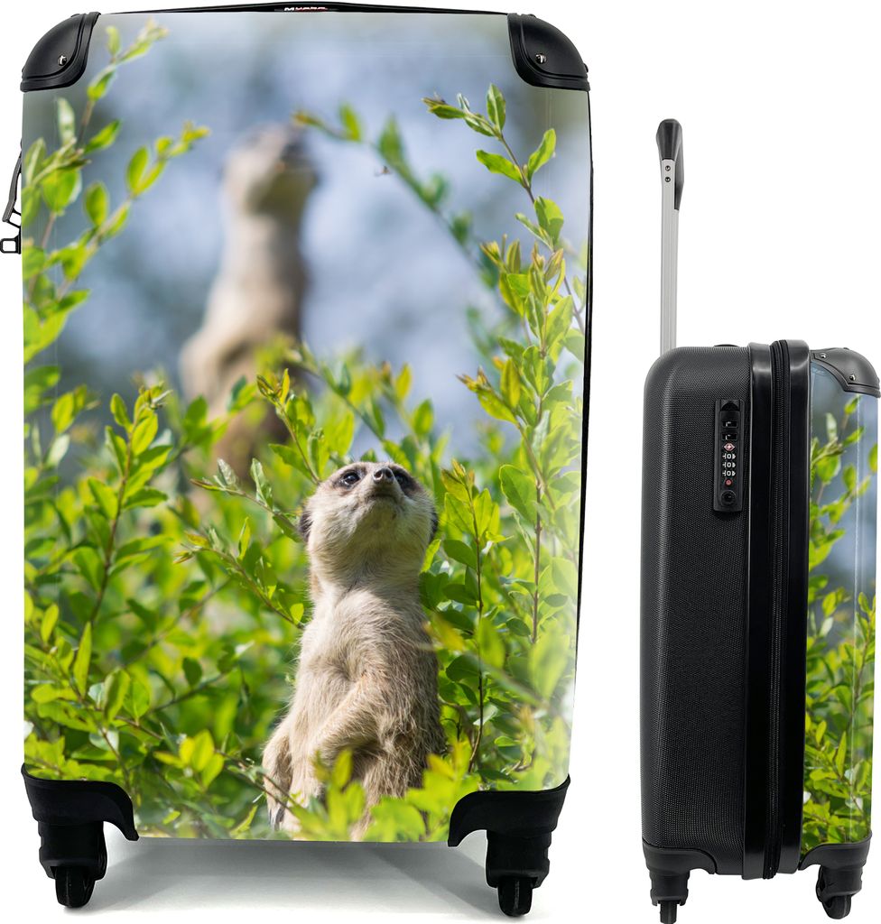 MuchoWow Koffer Handgepäck Trolley Rollkoffer Kleine Reisekoffer mit 4 Rollen - Büsche - Erdmännchen - Tier - Cabin Size < 55x40x23 cm & 55x40...