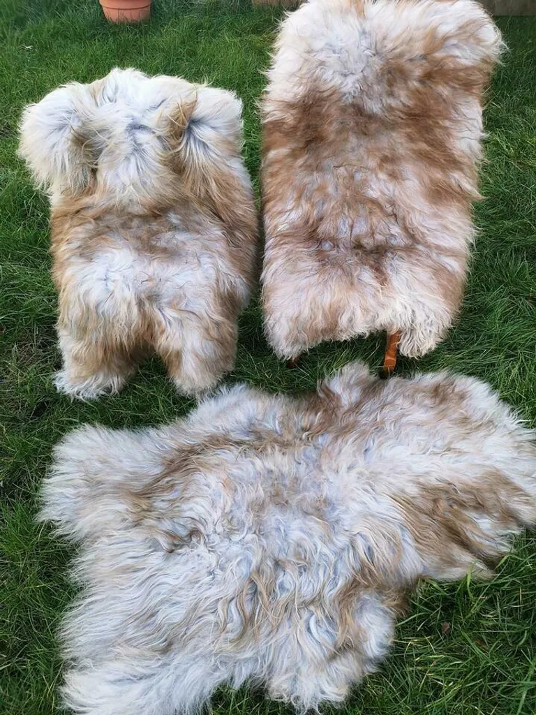 Peau de Mouton XXL Islandaise Laine Douce 110cm Gris Clair et Brun