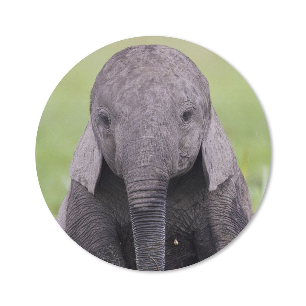 MuchoWow Mauspad Mousepad Elefant - Baby - Tiere - Gras - Natur 20x20 cm - Mousepads - Maus Mat - Pad - Mausunterlage - Schreibtischmatte