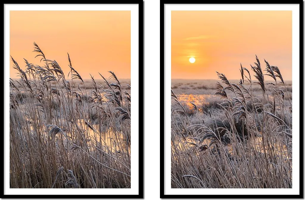 Duo de Peintures Murales Sunset Field 53x73cm Style Boho Diptyque