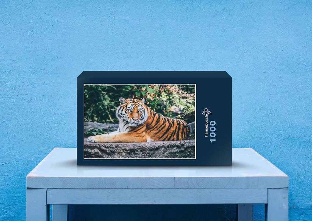 hansepuzzle 76698 - Tiger Puzzle, 1000 Teile, Hintergründe, 60,0 x 46,0cm mit hochwertiger Aufbewahrung, Kartonbox und wiederverschließbarem Beutel