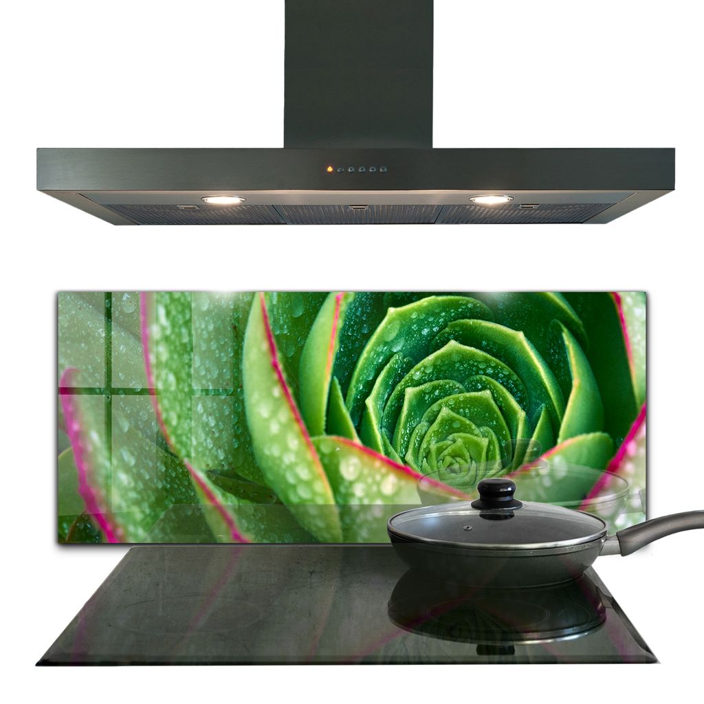 Spritzschutz aus Glas Küchenrückwand - Wandschutz für Herd und Spüle - 125x50 cm - Sukkulenter Steingarten Grüner Garten