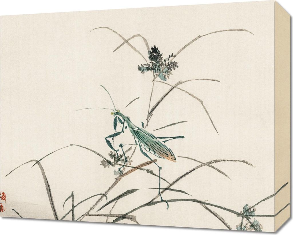 Bild 50x40cm Heuschrecke, Kōno Bairei Japanisches Vintage für das Wohnzimmer