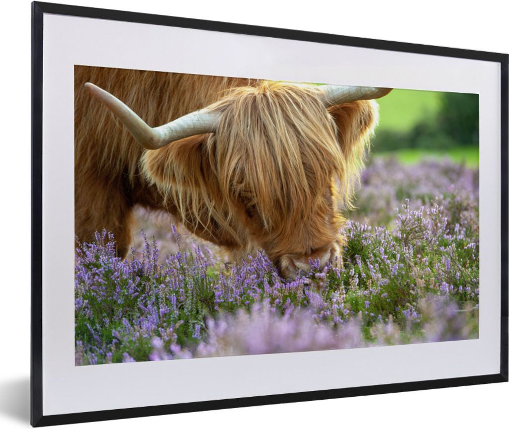 MuchoWow Gerahmtes Poster Schottischer Highlander - Blumen - Kuhkopf 60x40 cm - Poster mit Schwarzem Bilderrahmen Wandposter Rahmen Foto Bilder -...