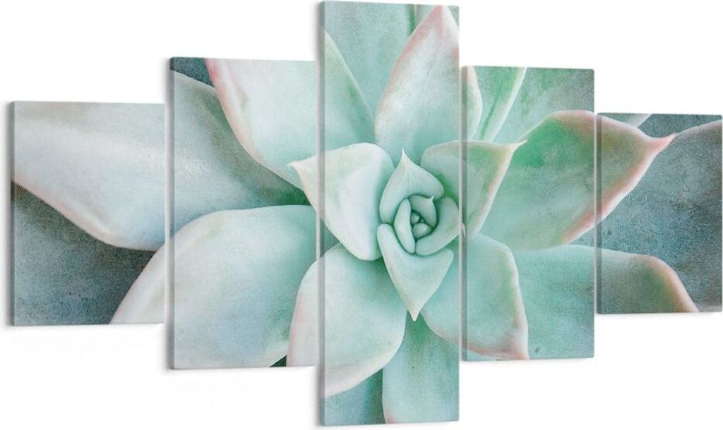 Bild auf Leinwand - Leinwandbild - 5 Teile - Blau Blätter Agave - 125x70cm - Wand Bild - Wanddeko - Wandbilder - Leinwanddruck - Bilder - Wanddeko...