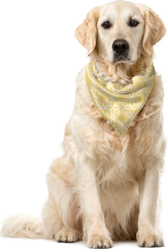 ABAKUHAUS Gelb und Weiß Haustier Bandana, Aufwändige Blumen, 40x40 cm, Blassgelb Weiß