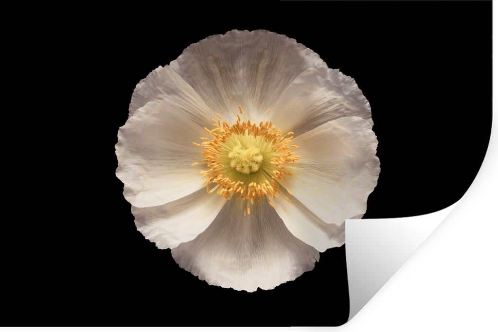 MuchoWow - Aufkleber