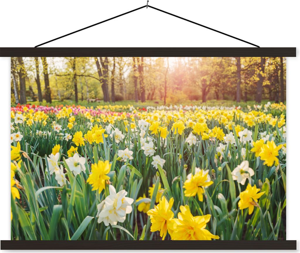 MuchoWow Textilposter Narzisse - Farben - Frühling 120x80 cm mit schwarzem Rahmen - Wanddeko