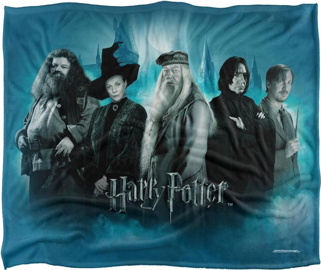 Harry Potter - Decke, Gruppenfoto TV18579 (Einheitsgröße) (Bunt)