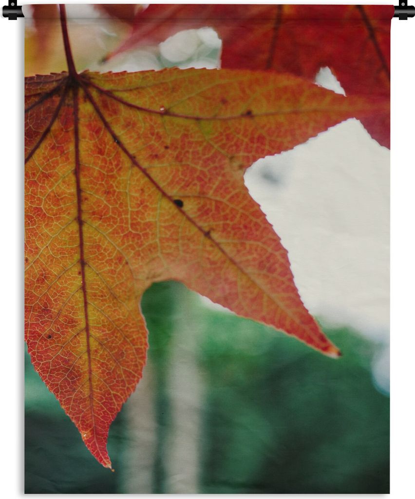 MuchoWow Wandteppich Wandbehang Herbst - Landleben - Blätter - Jahreszeiten - Landleben 150x200 cm Tapisserie Dekoration Wandtuch - Wandaufhäng...