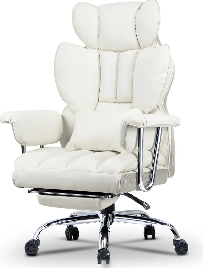 Chaise de bureau ergonomique avec soutien lombaire et repose-pieds 1D
