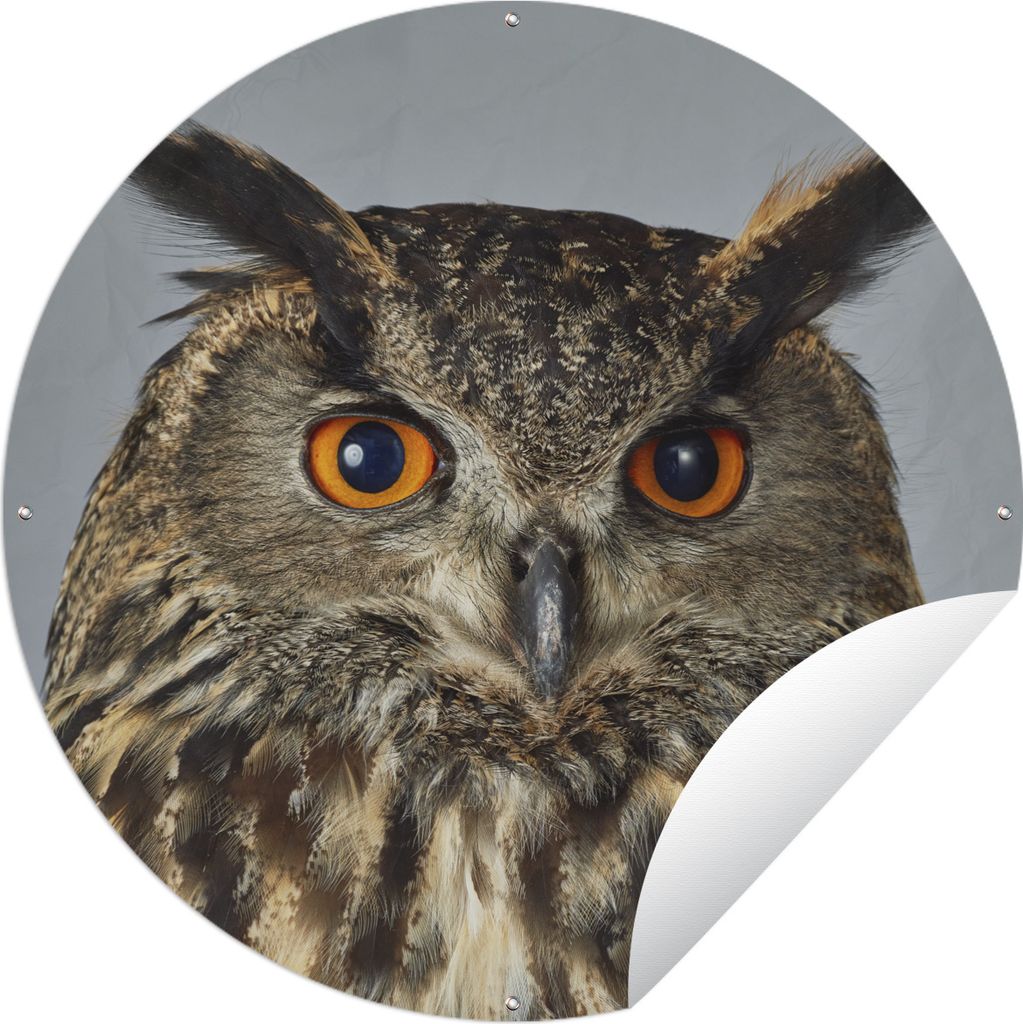 MuchoWow Gartenposter Outdoor-Poster Rund Braune Eule mit hellblauem Hintergrund Ø 90 cm Gartendeko Rundes Poster draußen