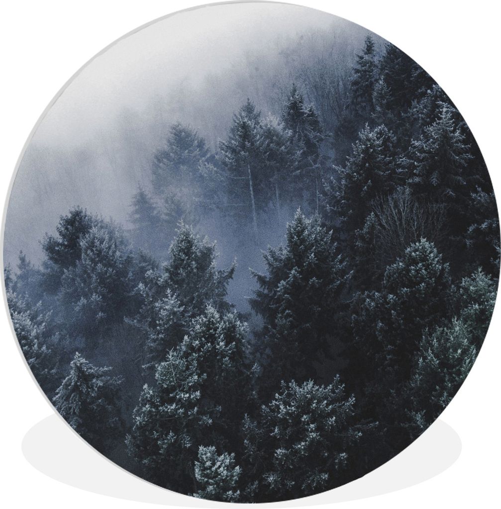 MuchoWow Rundes Wandbild - Runde Bilder Bäume - Nebel - Kiefer Ø 30 cm Kreis Wanddekoration Kunststoff - Wandkreis - Wandschmuck - Schlafzimmer...