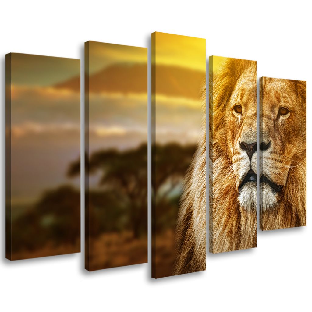 5-teiliges leinwandbild löwe afrika savanne landschaft 200x100 cm Feeby orange wandbild bereit zum aufhängen