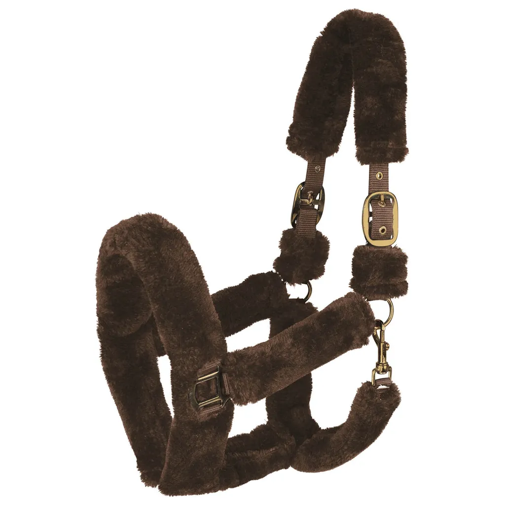 Licol Waldhausen Cozy Marron et Or pour Cheval Pur-Sang - Confort Doux