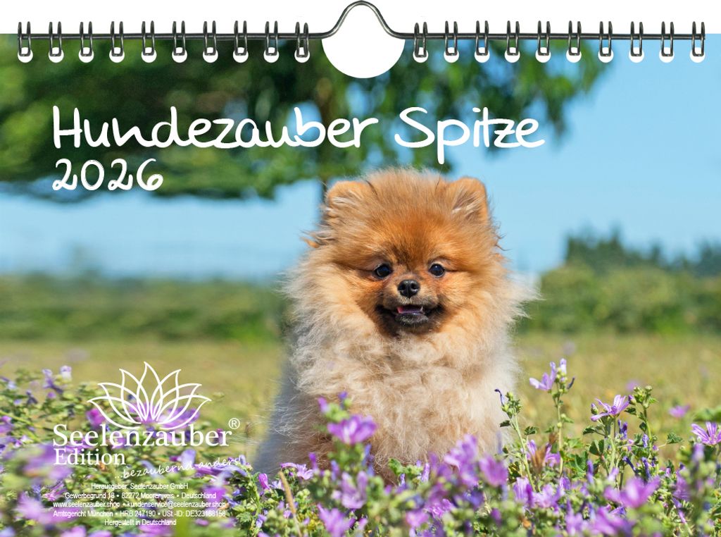 Hundezauber Spitze DIN A5 Kalender für 2026 Welpen und Hunde - Seelenzauber