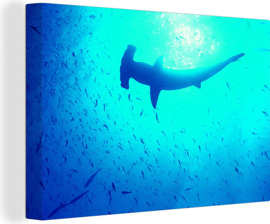 OneMillionCanvasses - Leinwandbilder - 140x90 cm, Hammerhai (Sphyrna mokarran) zwischen Fischen, Wandbilder Kunstdruck Wanddekoration