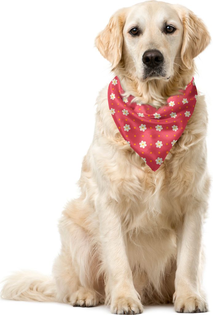 ABAKUHAUS Blumen Haustier Bandana, Muster Daisy, 40x40 cm, Rosa, Weiß, Marigold