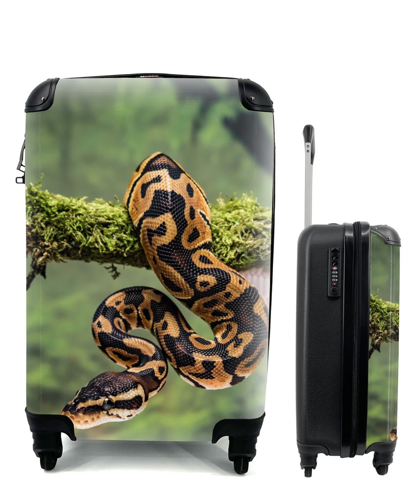 MuchoWow Koffer Handgepäck Trolley Rollkoffer Kleine Reisekoffer mit 4 Rollen - Schlange - Zweig - Regenwald - Cabin Size < 55x40x23 cm & 55x40x...