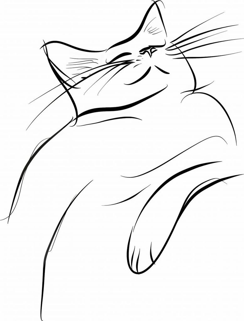 Plakat 60x80cm Skizze der Katzenzufriedenheit