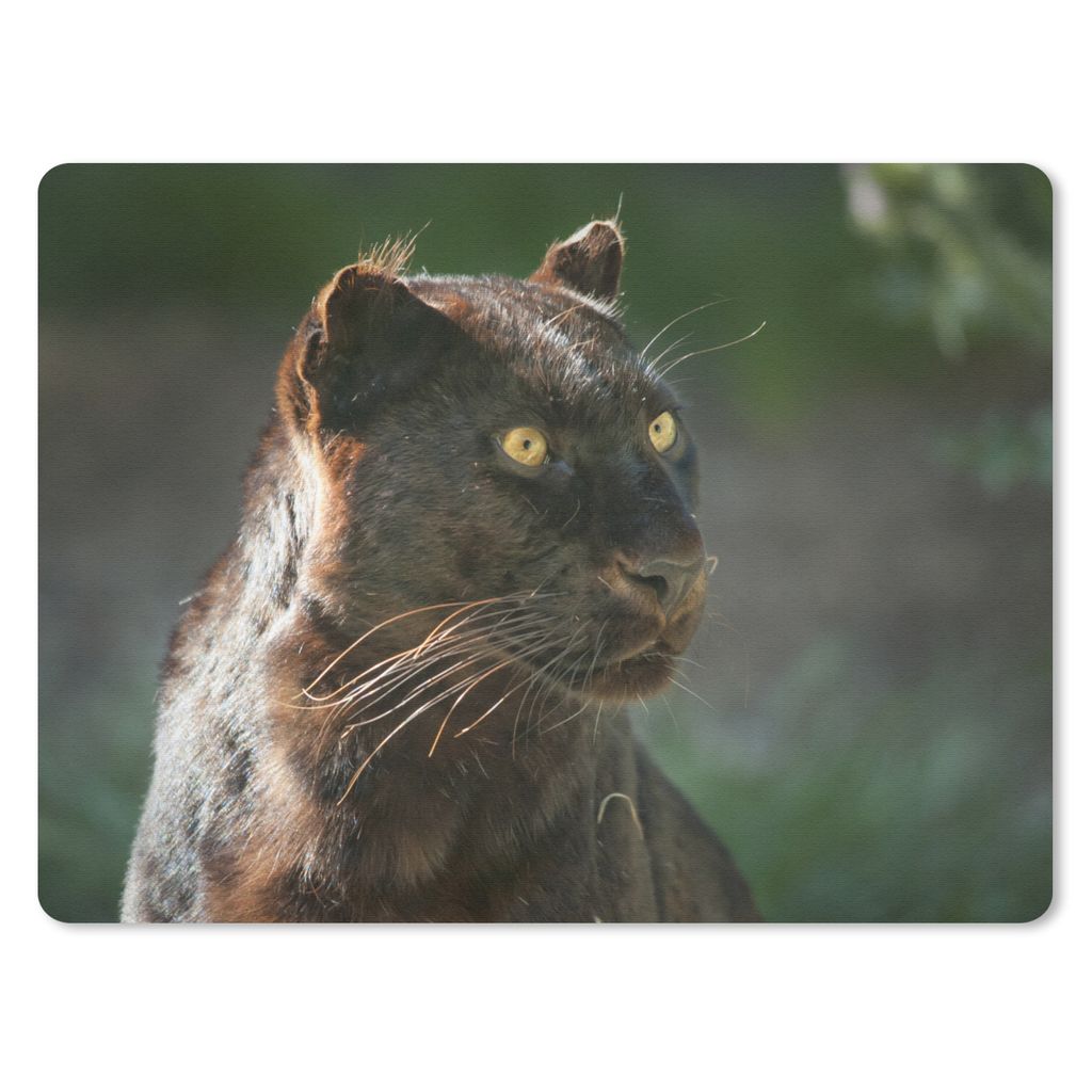 MuchoWow Mauspad Mousepad Panther - Nahaufnahme - Schwarz 40x30 cm - Mousepads - Maus Mat - Pad - Mausunterlage - Anti Rutsch