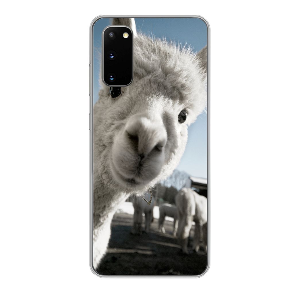 MuchoWow Handyhülle Schutzhülle Hülle für Samsung Galaxy S20 Alpaka - Weiß - Tier Silikon Softcase Handy Hülle - Bild