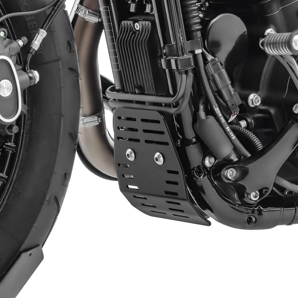 Spoiler avant et protection de cadre pour Harley Davidson Sportster - 3