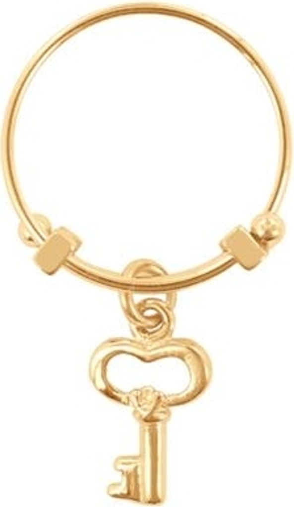 CO88 Collection Beloved 8CR-10003-52 Stalen Ring met Hanger - Sleutel - Maat 52 - Goudkleurig