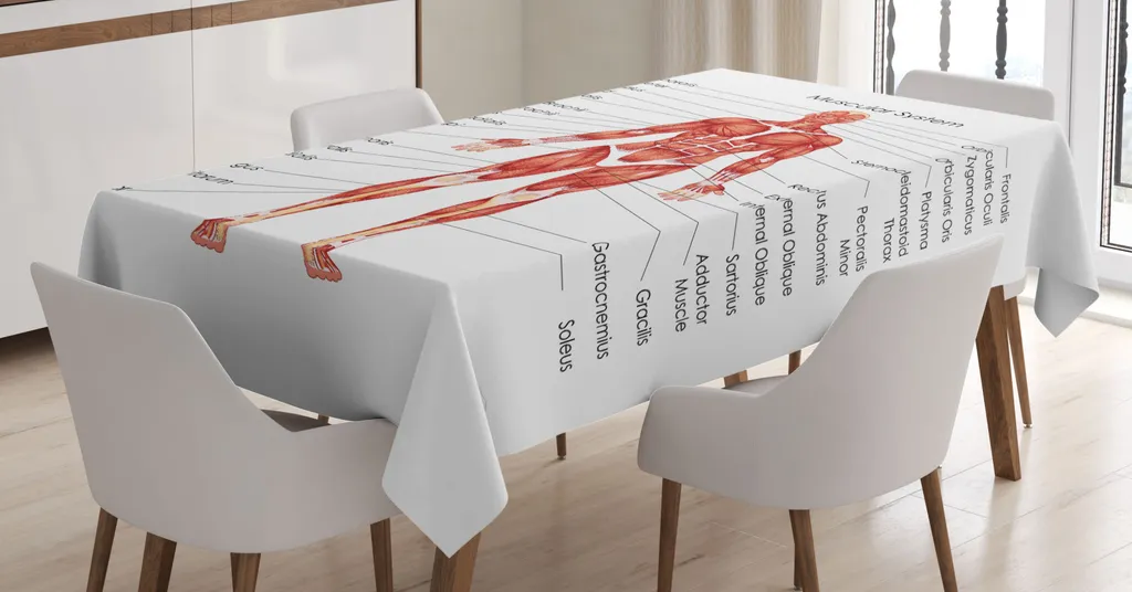 Abakuhaus Tovaglia Anatomica Muscolatura 140x240 cm Impermeabile