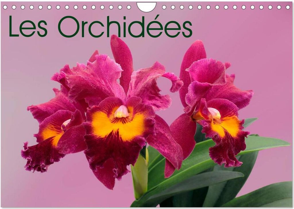 Les Orchidées (Calendrier mural 2026 DIN A4 vertical), CALVENDO calendrier mensuel