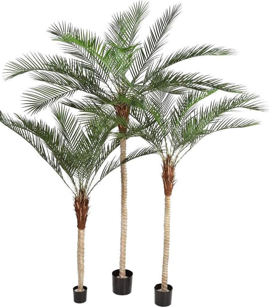 aplanta Künstliche Dattelpalme - Kian | 240 cm, für drinnen, Kunstbaum, wie echt, Allergiker geeignet, pflanzliche Dekoration Praxis, Office & Wo...
