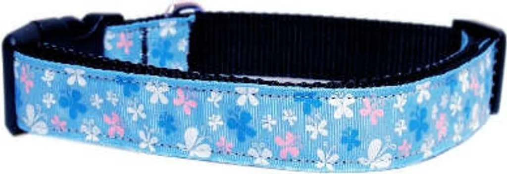 Pawise Collare Gatto Sicurezza Blu Farfalle - Recensione e Specifiche