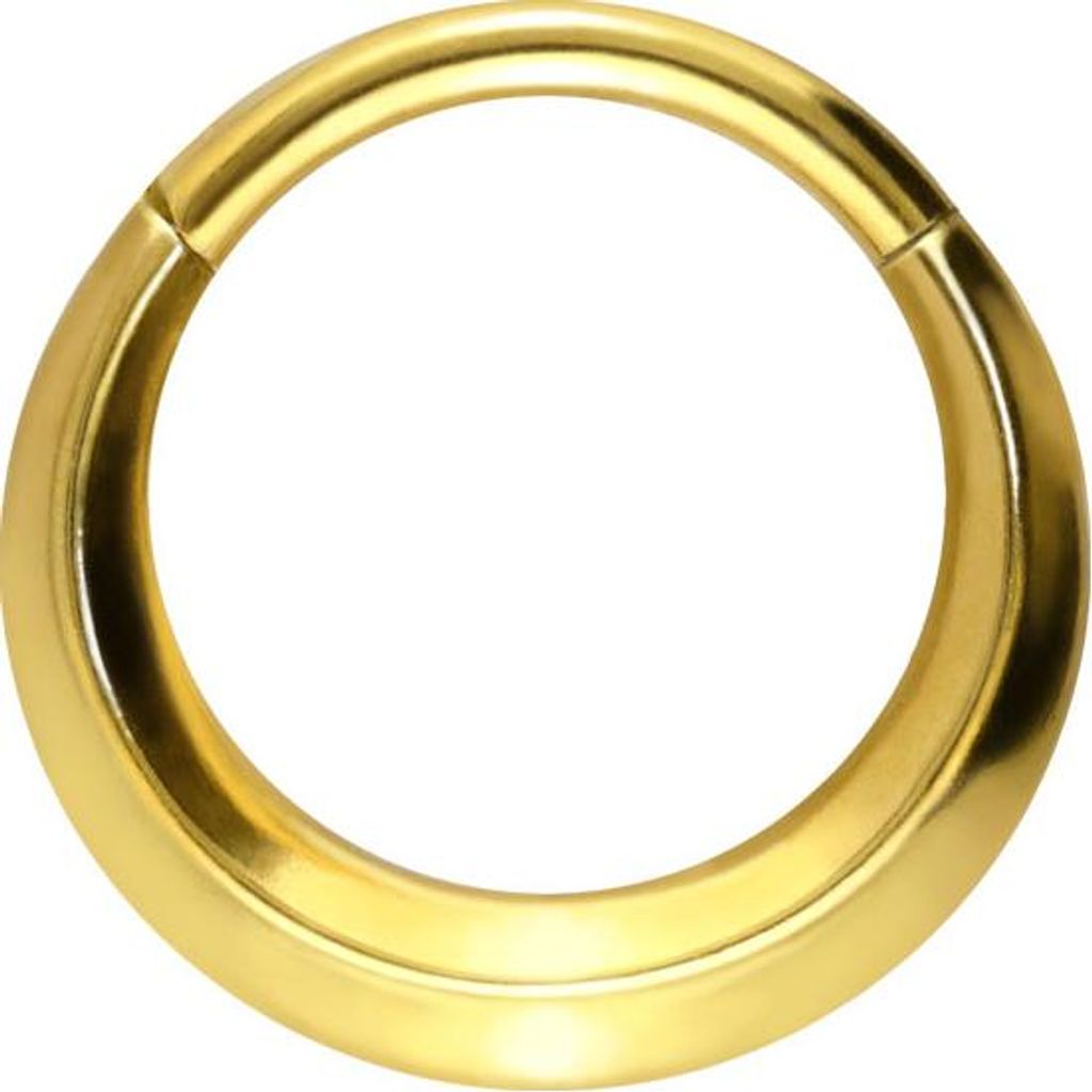 Ohrpiercing, Nasenpiercing, Septum Piercing Titan Segmentring Clicker FLACH Gold Innendurchmesser: 8 mm