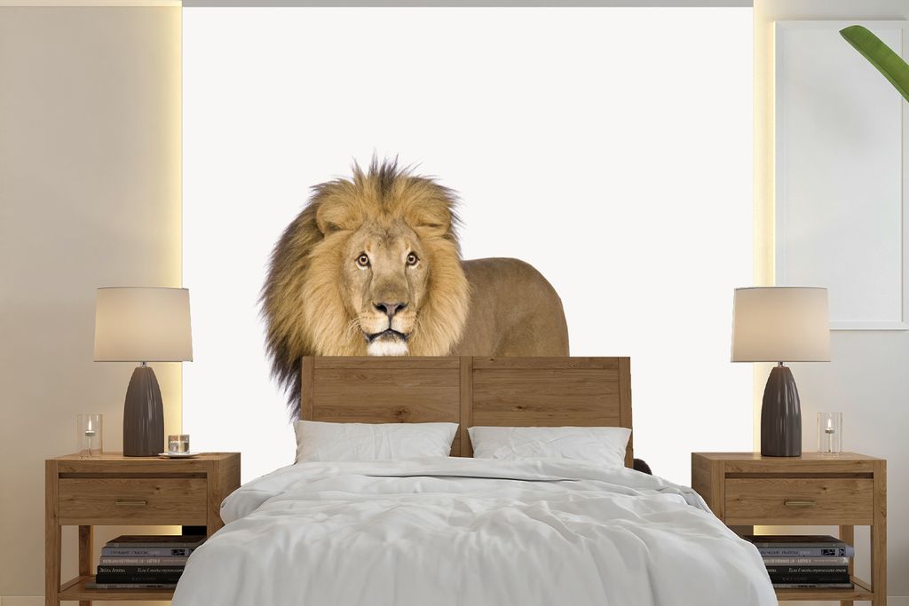 MuchoWow Fototapete für Wohnzimmer oder Schlafzimmer Wandtapete Vinyl Motivtapete Jungen - Löwe - Tiere - Kinder - Mädchen - 260x260 cm - Kind...