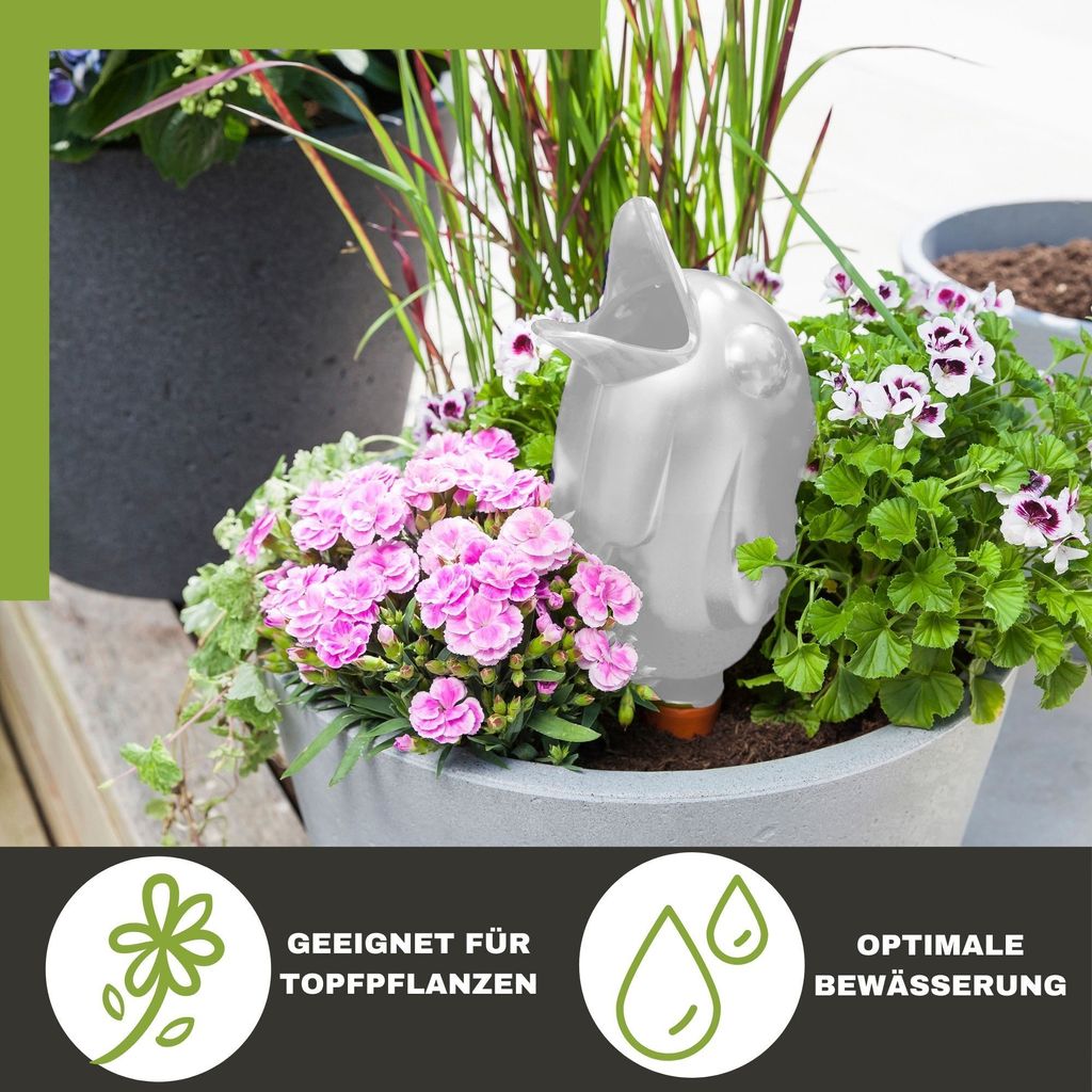 Scheurich Wasserspender Brdy XXL |2er Set Transparent/Grn